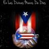 jose_albino